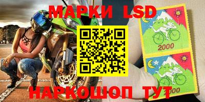 прущие грибы Северобайкальск