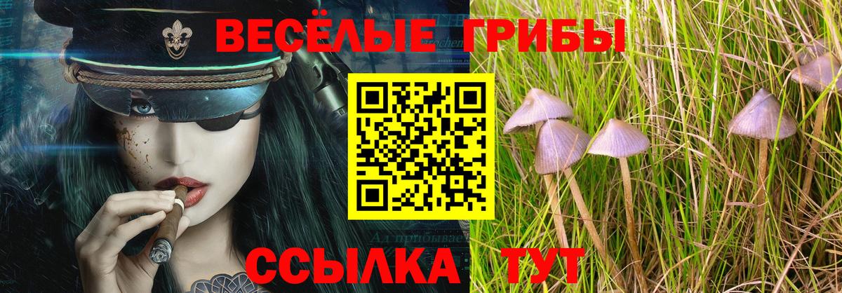 Галлюциногенные грибы GOLDEN TEACHER Павловский Посад