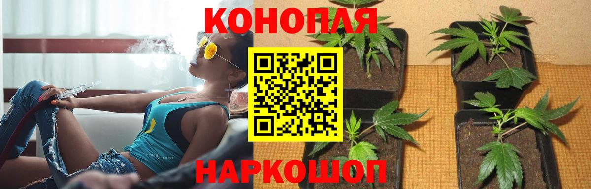 Бошки марихуана марихуана Павловский Посад